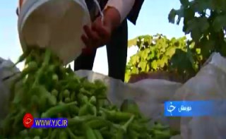 خیابان&zwnj;هایی که بوی نجف می&zwnj;دهد تا رسیدن به رویای کودکی در اوج جوانی +فیلم