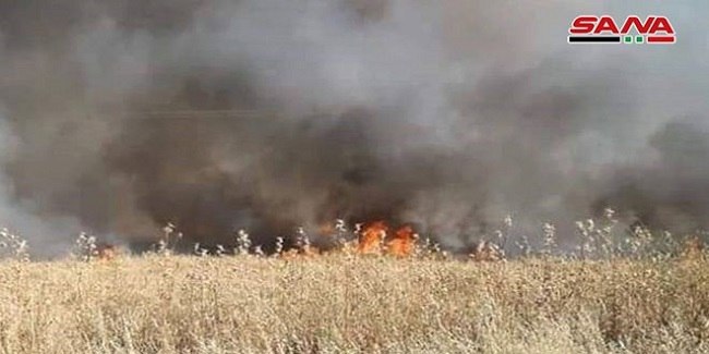آتش‌سوزی گسترده در جنوب سوریه
