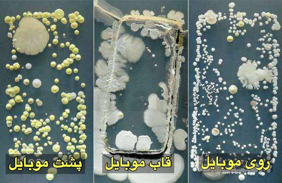 باکتری&zwnj;های ناقل بیماری رو صفحه گوشی همراه + تصویر
