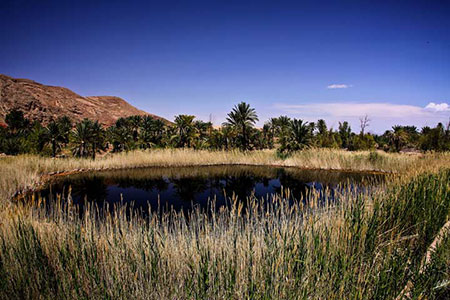 روستای گرمه، روستایی زیبا در دل کویر