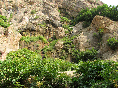 آبشار ساواشی کجاست؟