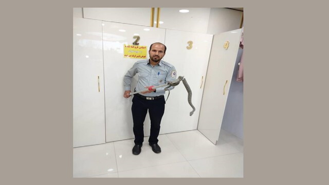 مار بازیگوش، مهمان ناخوانده یک مانتو فروشی در تبریز