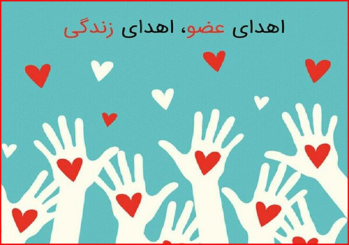 ضرورت نهادینه سازی فرهنگ اهداء عضو در جامعه/ اینجا زندگی می&zwnj;بخشند