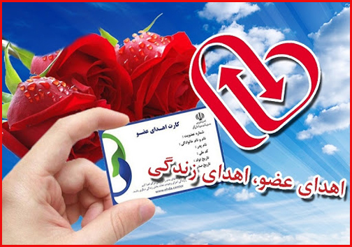 ضرورت نهادینه سازی فرهنگ اهداء عضو در جامعه/ اینجا زندگی می&zwnj;بخشند