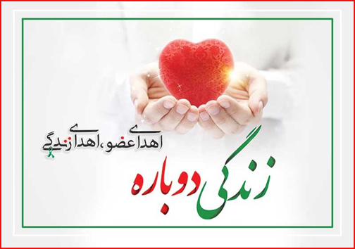 ضرورت نهادینه سازی فرهنگ اهداء عضو در جامعه/ اینجا زندگی می&zwnj;بخشند