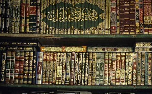&laquo;ابن الاُخُوّة&raquo; و توجه ویژه به فقه عملی