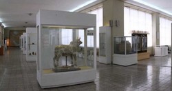نخستین موزه ایران چگونه ساخته شد؟