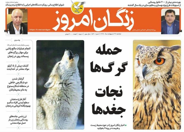 نزول کرونا در زنجان/حمله گرگ ها نجات جغدها