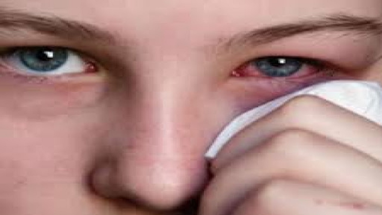 دانه‌های صنوبر، تهدیدی برای بینایی کودکان