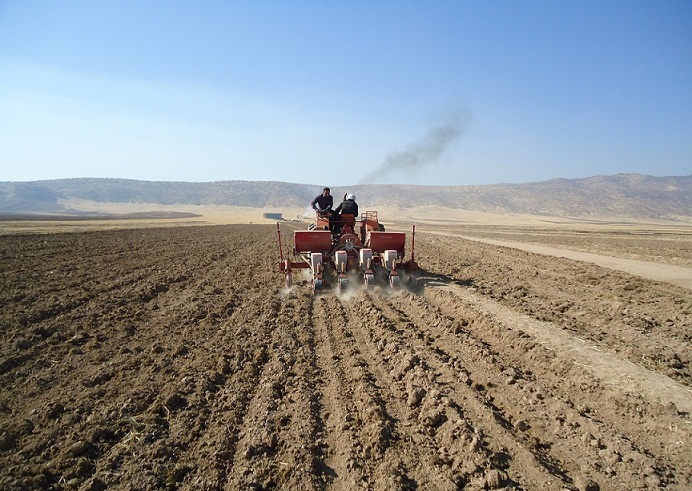 زمان مطلوب برای کشت بهاره در استان مرکزی