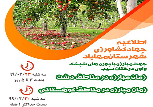 هشدار جهاد کشاورزی مهاباد نسبت به مبارزه با آفت شپشک واوی سیب