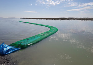 مشک‌های ماری در خور بندزرک لو رفت