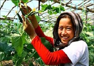 آیا شهر جهانی یزد با اتباع خارجی دست دوستی می&zwnj;دهد؟