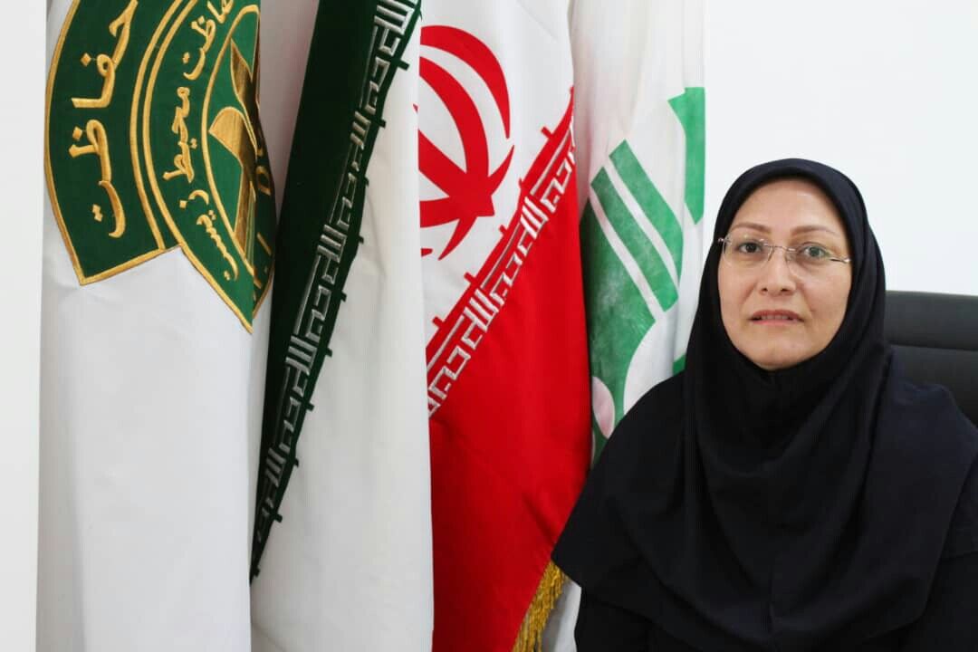 کرمان غبارخیز&zwnj;ترین استان کشور