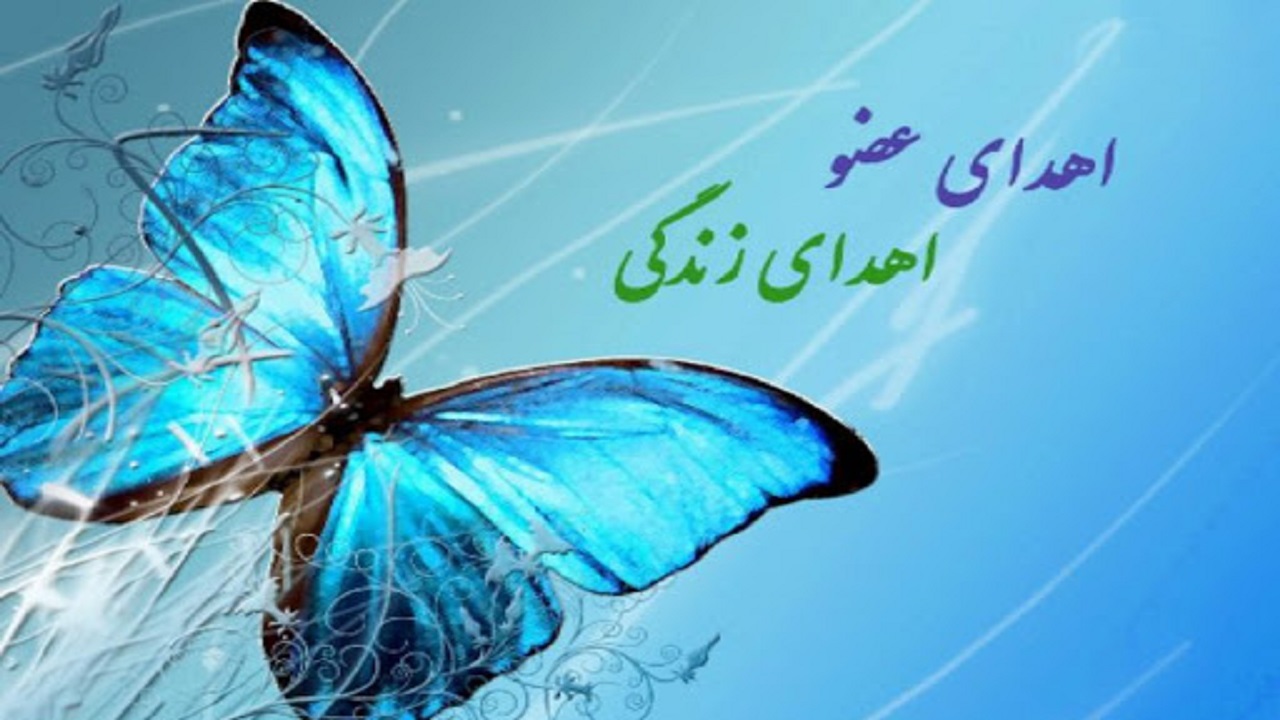 رضایت ۳۱ خانواده برای عمل پیوند عضو در چهارمحال و بختیاری