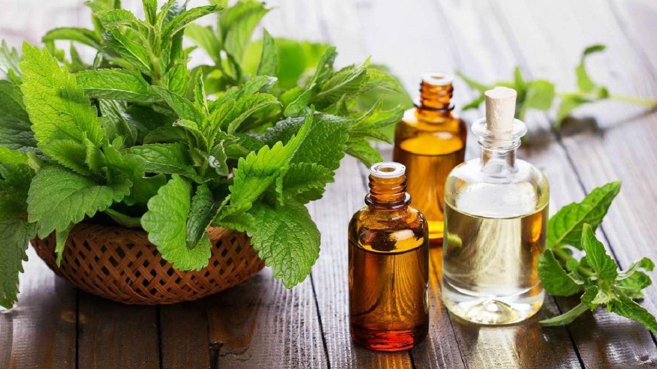 خواص بی‌نظیر روغن نعناع