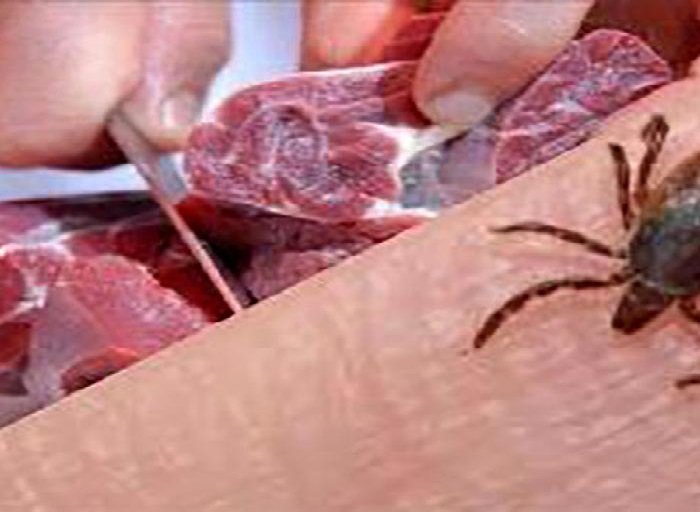 مراقب بیماری خطرناک تب کنگو باشید