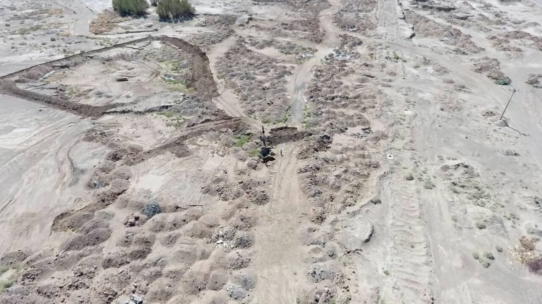 الفبای زندگی سرگردان در بیابان