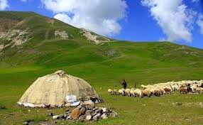 توزیع ۱۶۵ تن نهاده دامی بین عشایر گیلانی