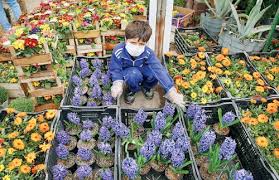 گل به خودی نزنید