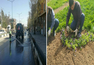 نظافت و پاکسازی فضای سبز در سطح شهر