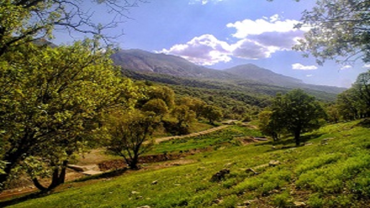 ایجاد ۱۱ ذخیره&zwnj;گاه جنگلی در چهارمحال و بختیاری