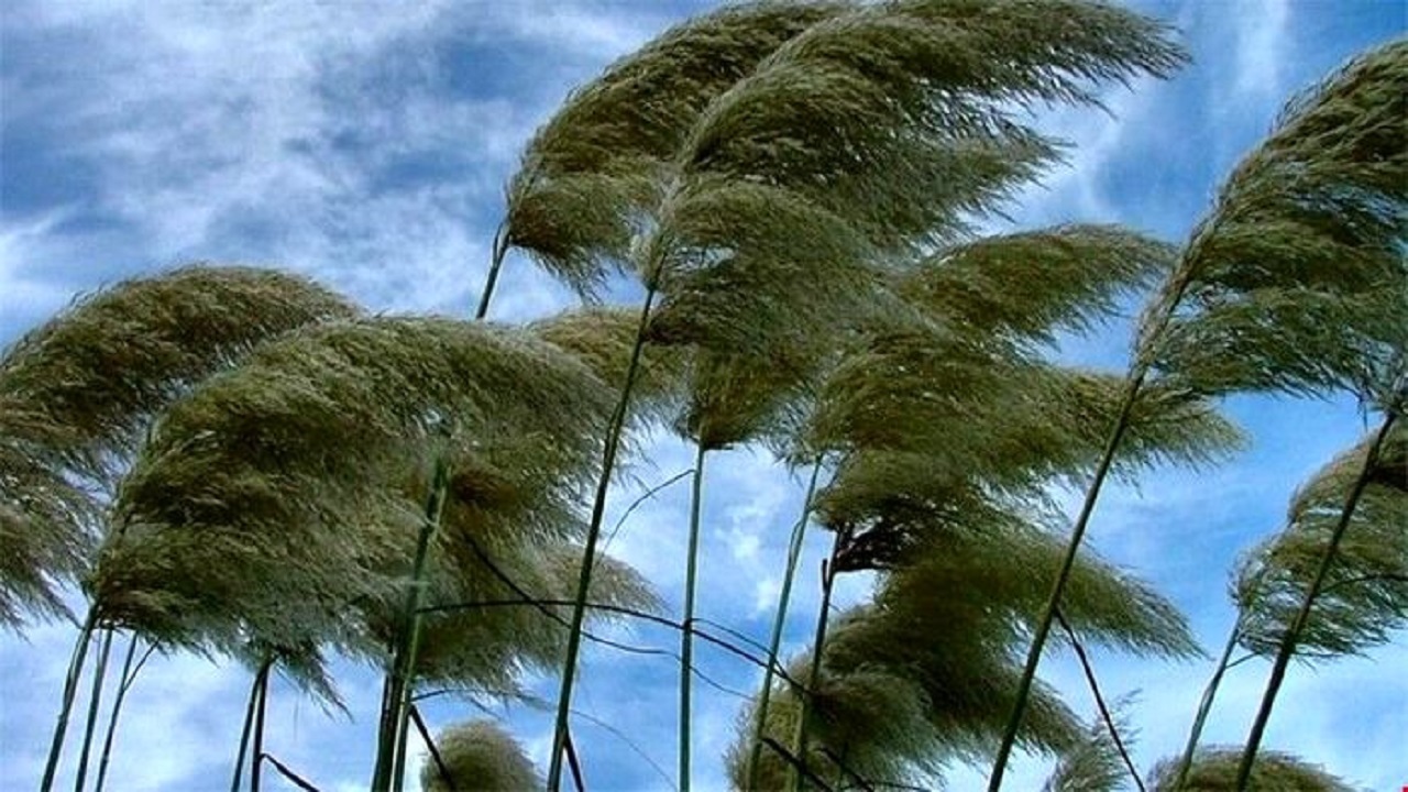 وزش باد شدید در خراسان رضوی