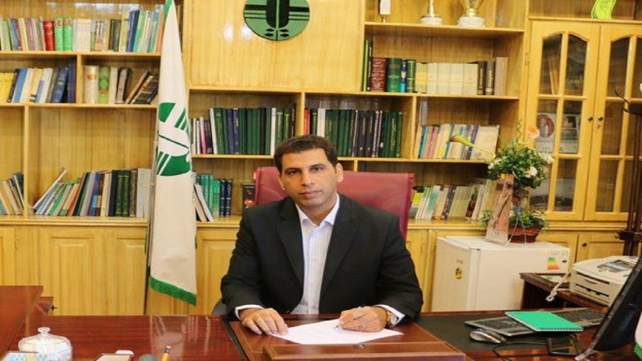 ‍ آغاز تخم گذاری پرندگان در تالاب هامون