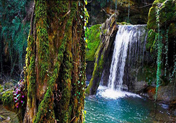 مرداب اسرار آمیز ایران + فیلم