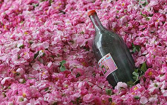 باغی از جنس گلاب + فیلم