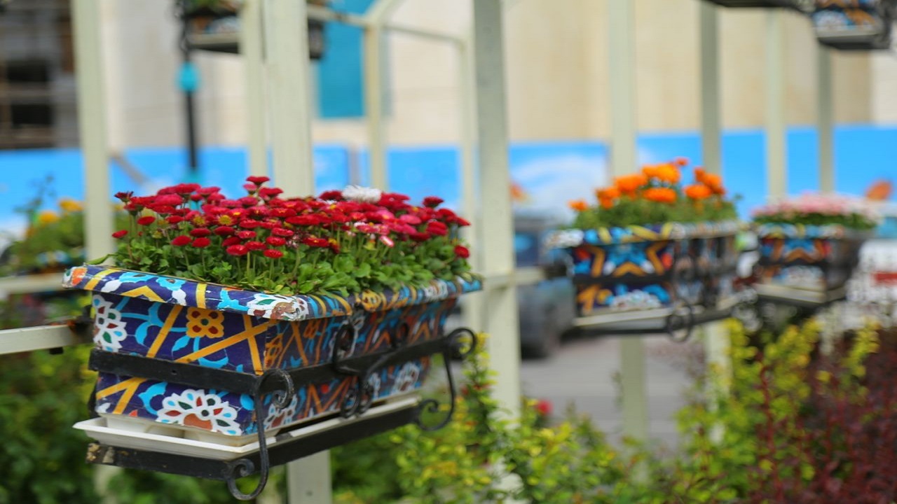 گل‌های فصلی ارمغان زیبای تابستان در اطراف حرم رضوی