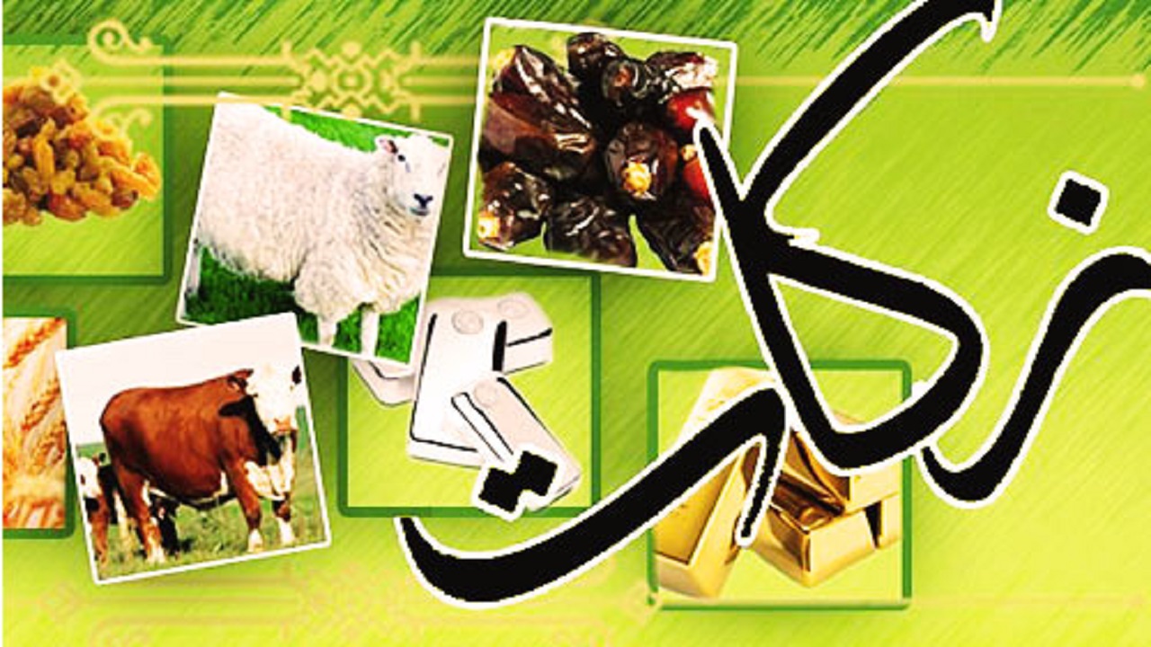 پرداخت بیش از ۲۲۰ میلیون ریال زکات در شهرستان شوسف