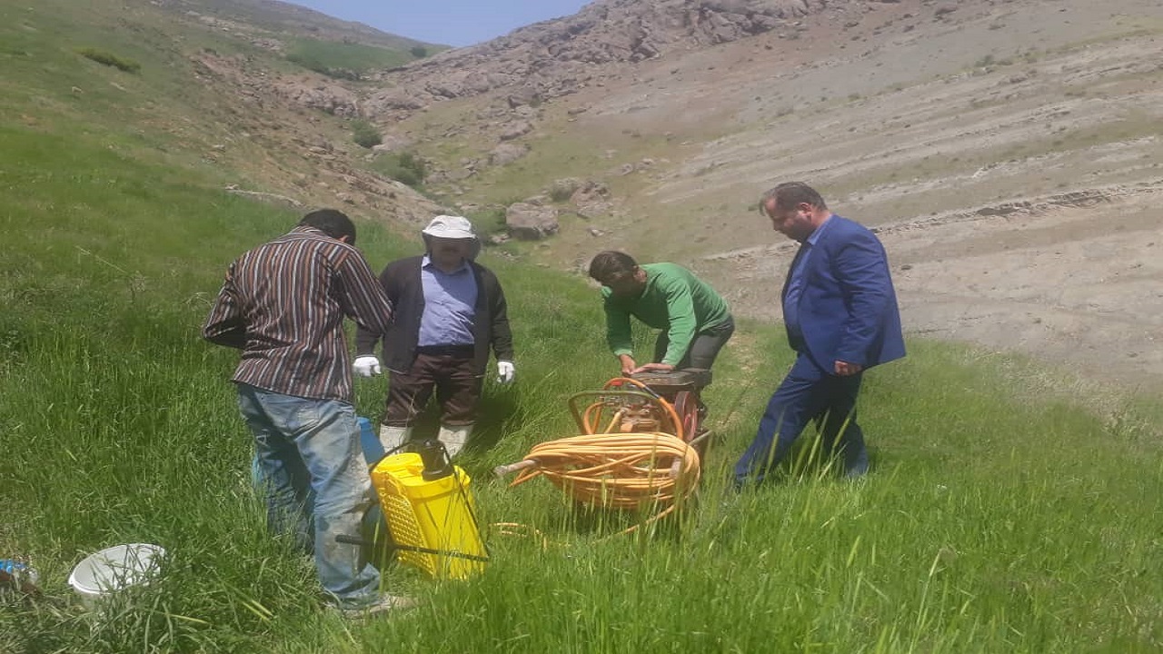 پایش مزارع وکنترل و مبارزه با ملخ بومی البرز توسط مدیریت جهاد کشاورزی شهرستان کرج