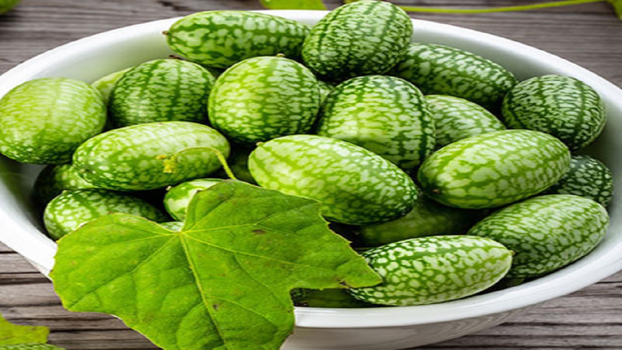 خوردن خیار برای این افراد ممنوع است