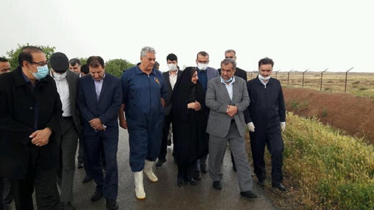 استاندار قزوین از چند واحد تولیدی بازدید کرد