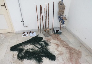 دستگیری شکارچیان غیرقانونی بلدرچین در شهرستان گرمی