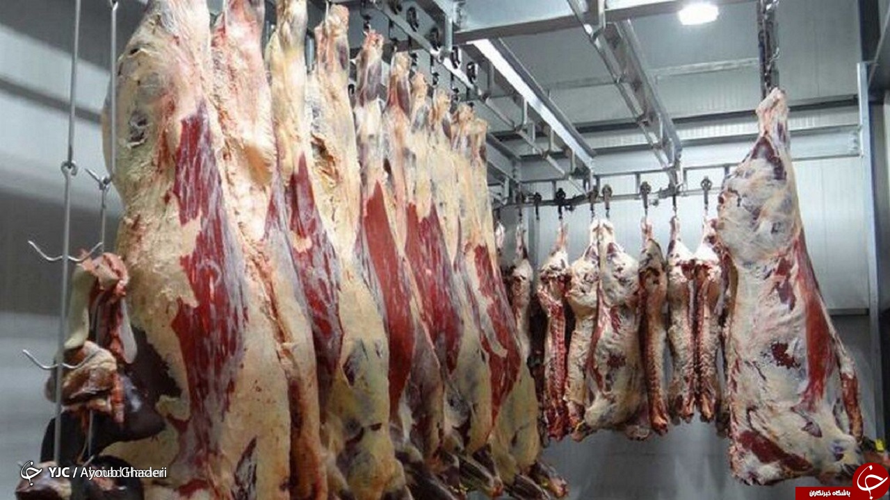 هشداردامپزشکی اصفهان از احتمال شیوع بیماری تب کریمه کنگو