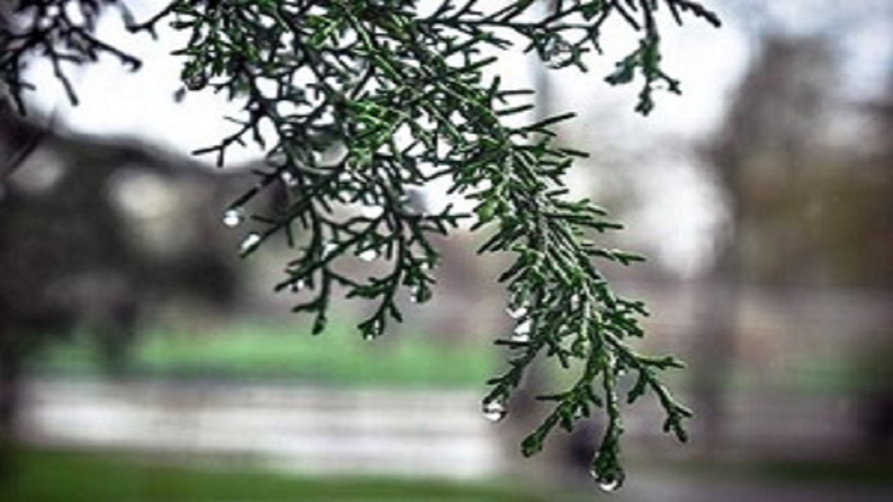 بارش باران همراه با کاهش دما در استان قزوین/احتمال آبگرفتگی معابر و ریزش تگرگ
