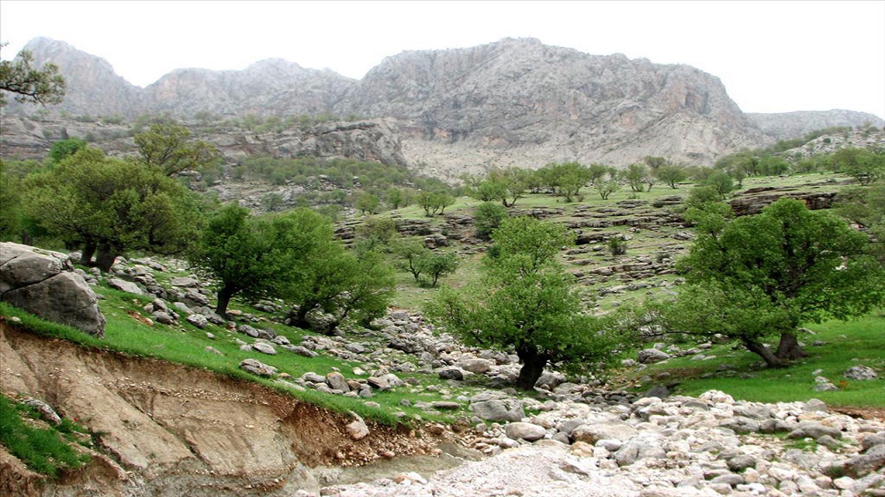 آورگان خنک&zwnj;ترین نقطه چهارمحال و بختیاری