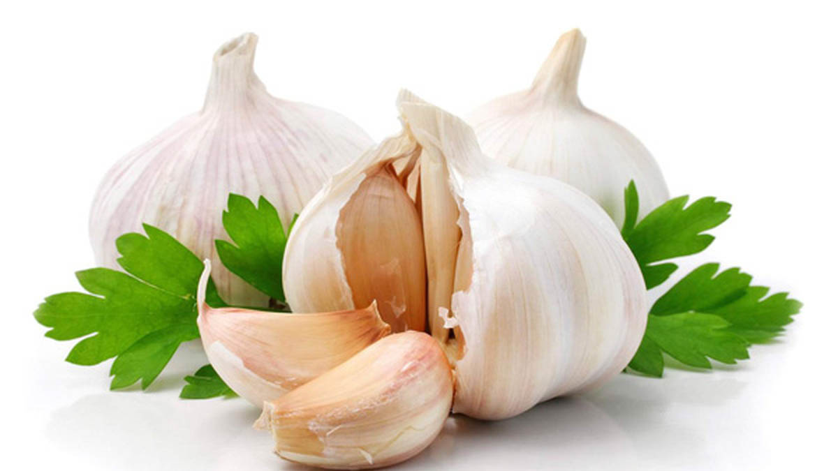 چربی سوزهای معجزه&zwnj;آسای خوراکی را بشناسید
