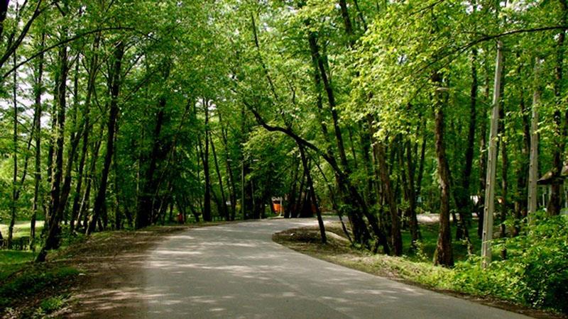 بوستان‌های جنگلی سرخه حصار و چیتگر تعطیل است