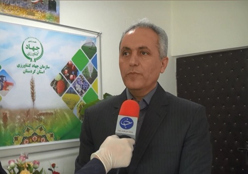پروبال زدن مرغ کردستان به خارج از کشور/