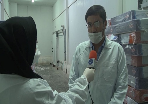پروبال زدن مرغ کردستان به خارج از کشور/