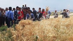 ثبت آیین مغفول ۴۰۰ ساله در فهرست آثار ناملموس