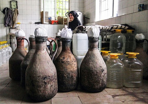 نبض متلاطم پایتخت گلابگیری ایران از ترس کرونا