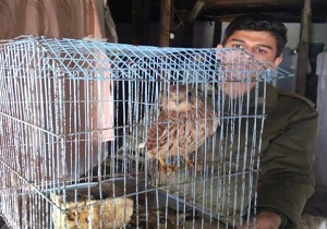 کشف یک بهله دلیجه در شهرستان نمین