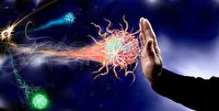 روزه داری موثر در تقویت سیستم ایمنی بدن