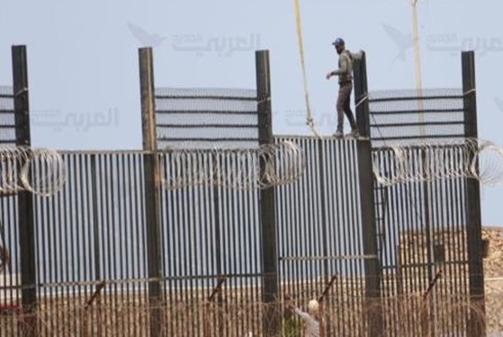 احداث دیوار الکترونیکی مصر در مرز با غزه