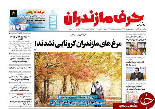 مرغ&zwnj;های مازندران کرونایی نشدند! /زنگ خطر خشک شدن تدریجی تالاب&zwnj;های مازندران به صدا درامد