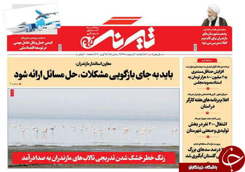 مرغ&zwnj;های مازندران کرونایی نشدند! /زنگ خطر خشک شدن تدریجی تالاب&zwnj;های مازندران به صدا درامد